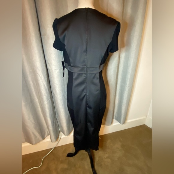 Laura Byrnes Black Label Pris Dress XL NWT - Picture 4 of 12